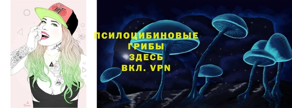 ECSTASY Алзамай