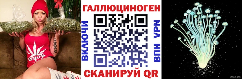 купить   Ликино-Дулёво  Галлюциногенные грибы прущие грибы 